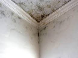 Best Residential Mold Inspection & Testing  in Anadarko, OK