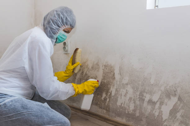 Best Biohazard Mold Removal  in Anadarko, OK